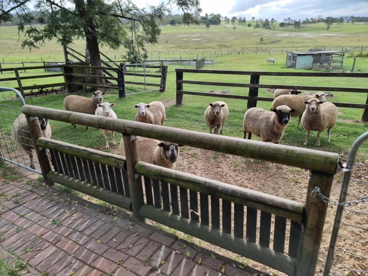 Clandulla Cottages & Farmstay Boyland Exterior foto
