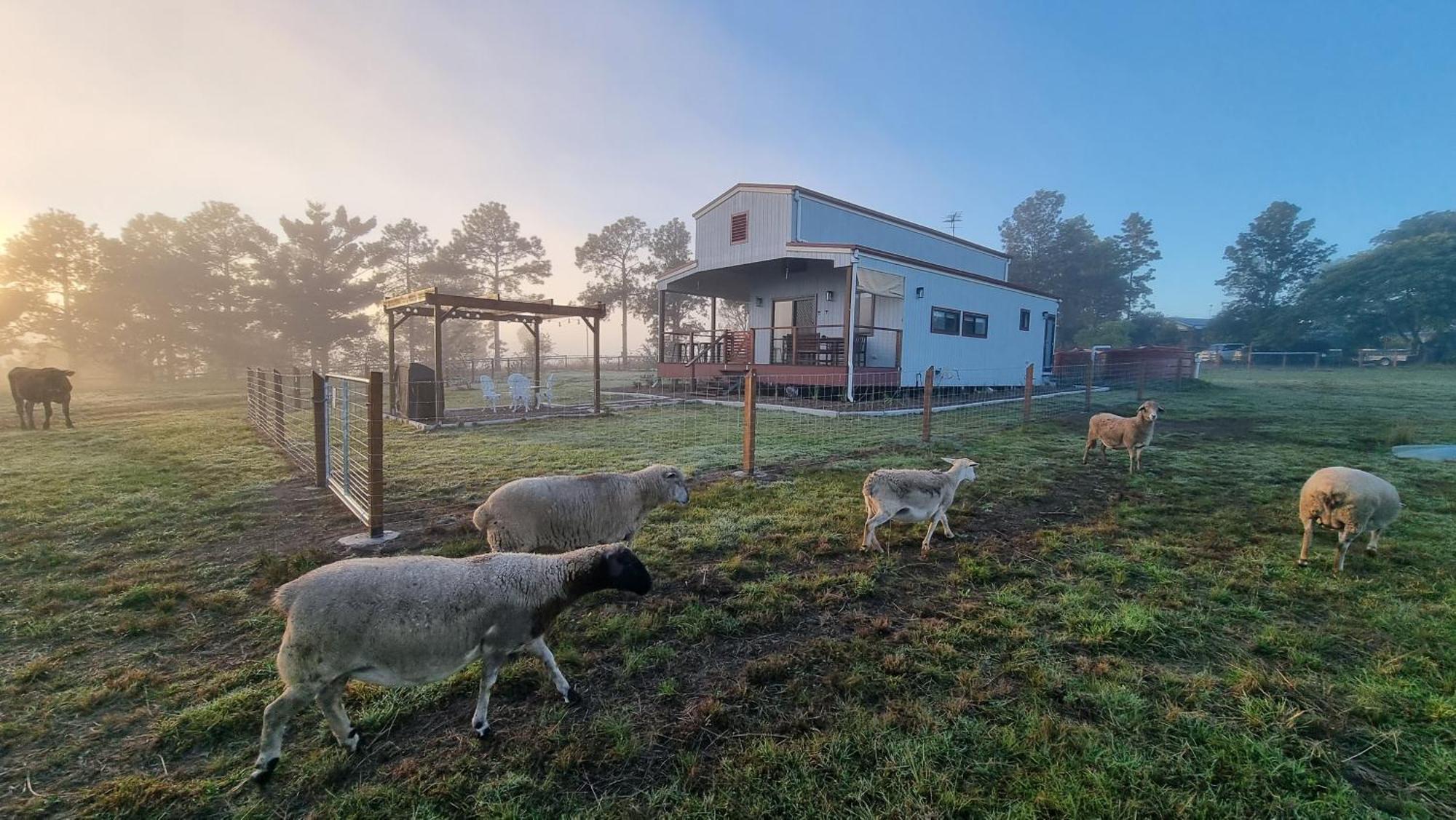 Clandulla Cottages & Farmstay Boyland Exterior foto
